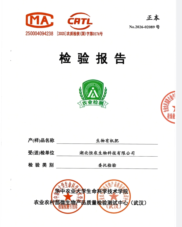 检验报告